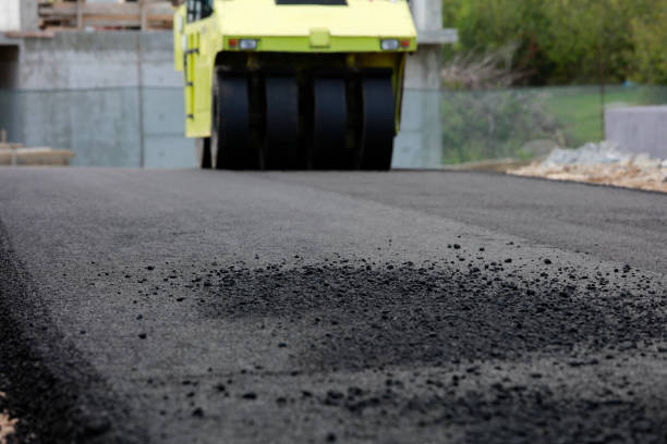 Best Driveway Pavers Near Me  in North Shore, VA
